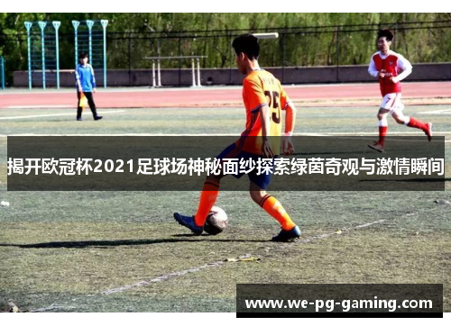揭开欧冠杯2021足球场神秘面纱探索绿茵奇观与激情瞬间