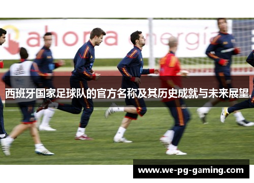 西班牙国家足球队的官方名称及其历史成就与未来展望