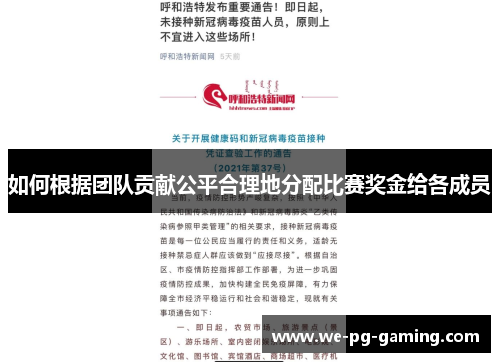 如何根据团队贡献公平合理地分配比赛奖金给各成员